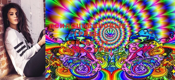 ECSTASY Козловка
