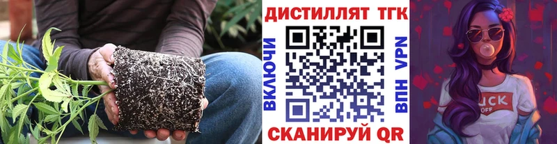 ТГК концентрат  Купить закладки  Осинники 