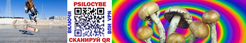 Купить  Осинники  Галлюциногенные грибы Cubensis 